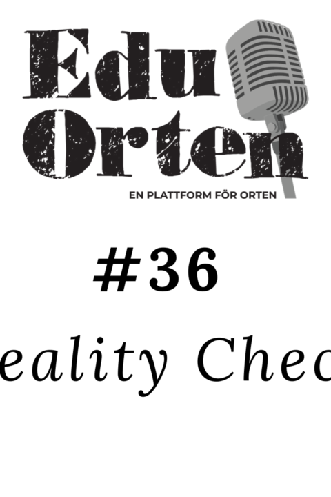 #36 Reality Check