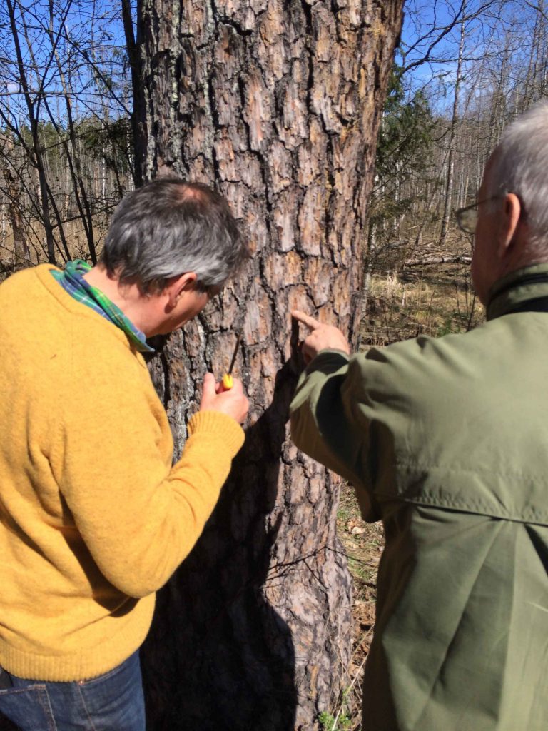 Föreningsinfo Entomologiska föreningen i Dalarna och