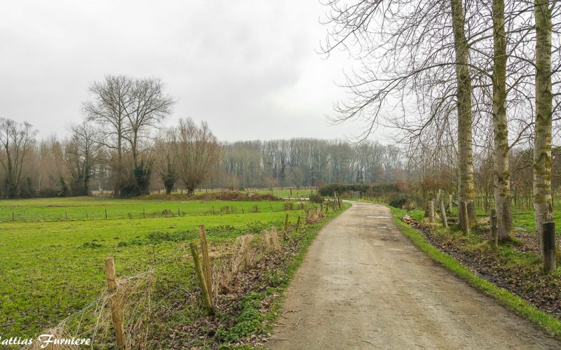 Wandeling doorheen den Dotter (6,5 km) - Effen Weg vzw