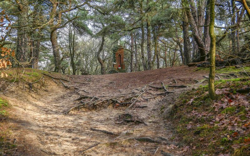 Wandeling op en rond de Oudsberg (7 km) Effen Weg vzw