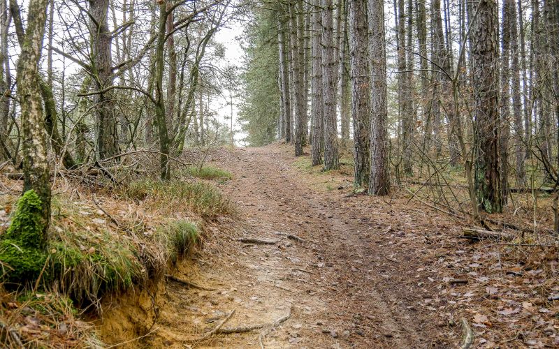 Wandeling op en rond de Oudsberg (7 km) Effen Weg vzw