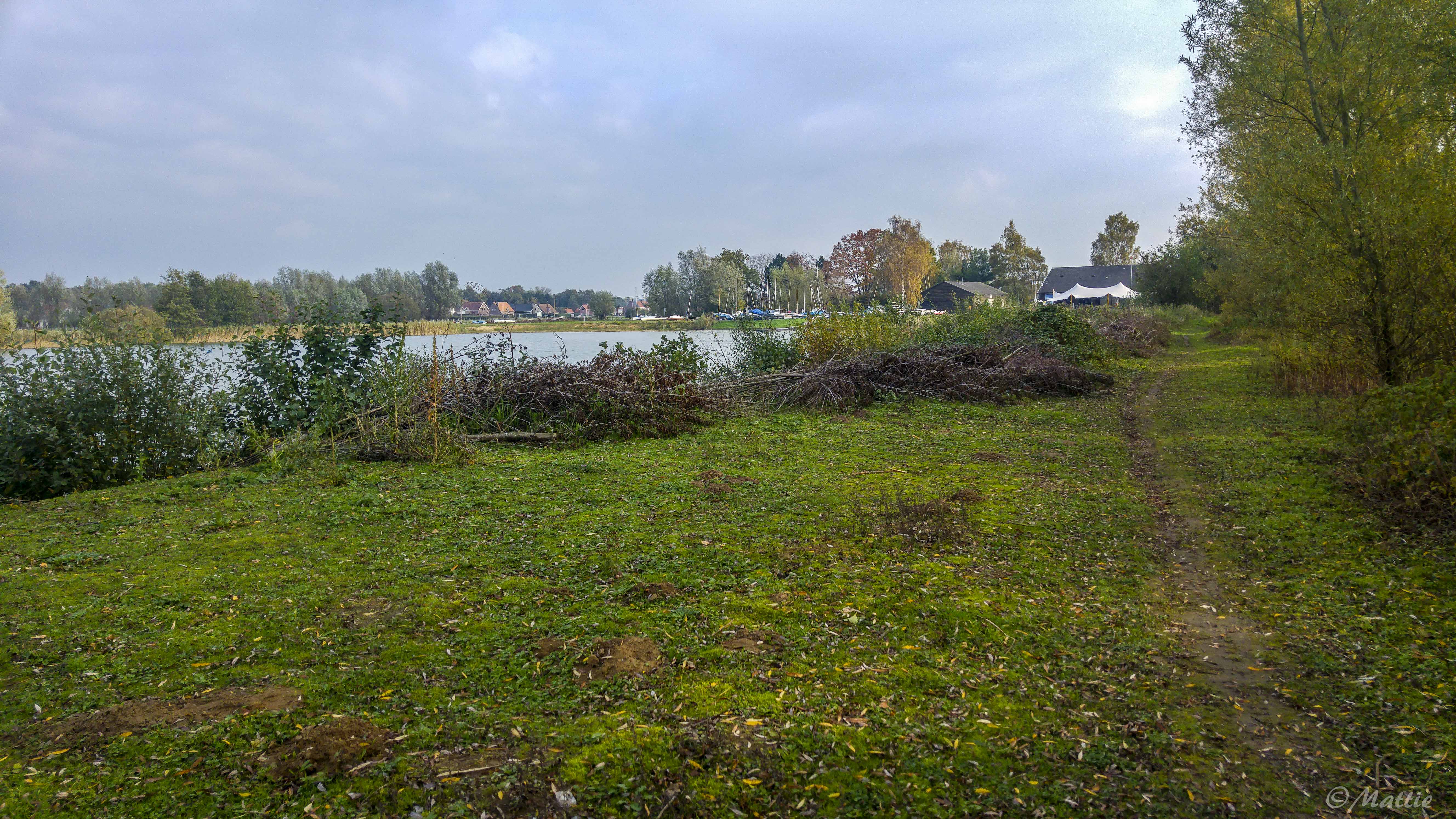 Wandeling Doorheen Het Molsbroek De Buylaers 4km Of 9km Effen Weg Vzw