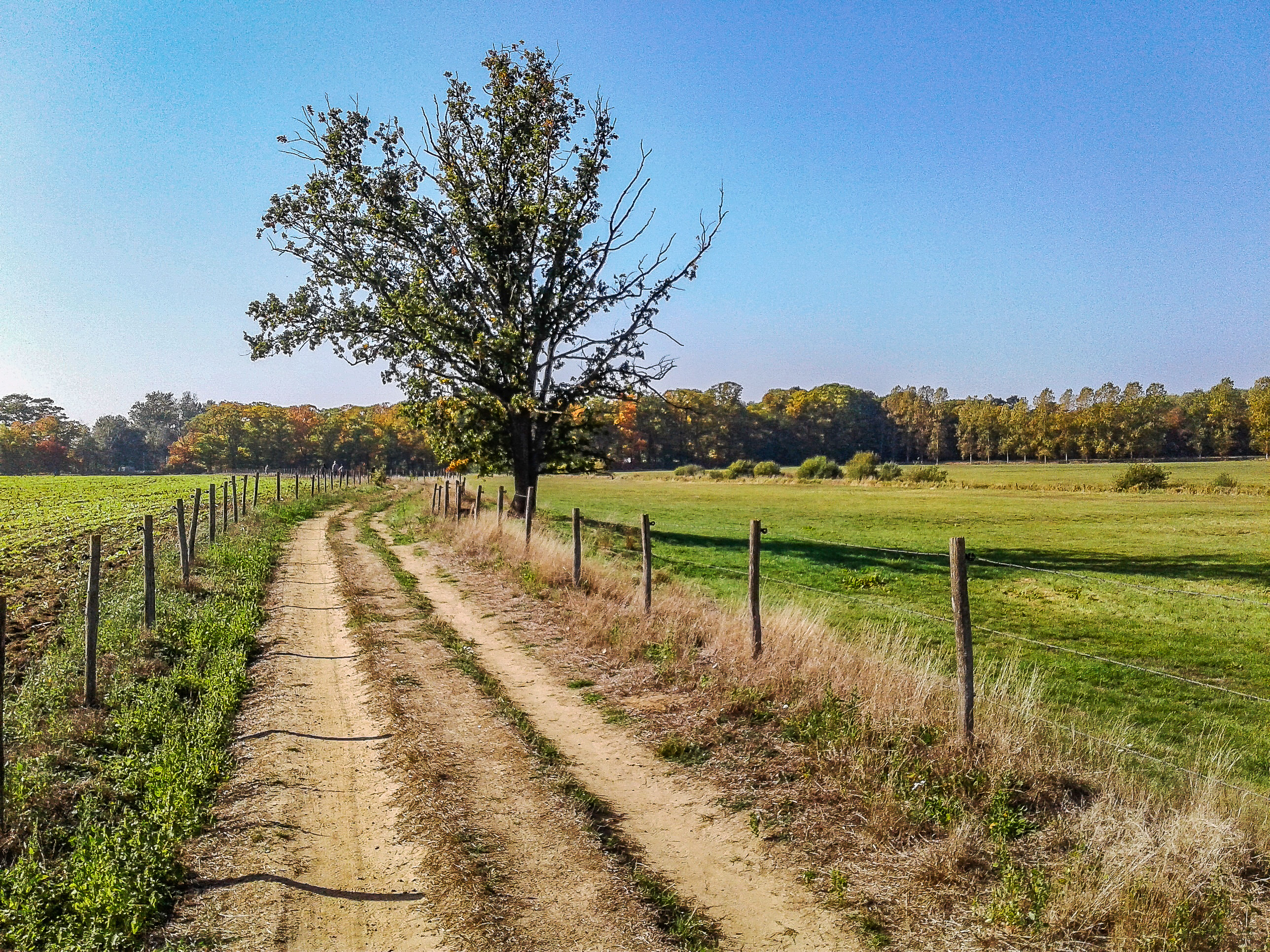 Wandeling doorheen de Vallei van de Zwarte Beek (9 km ...