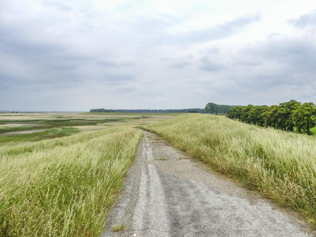 Langs de Hedwigepolder, voorlopig nog puur genieten, straks verdwijnt alles onder water