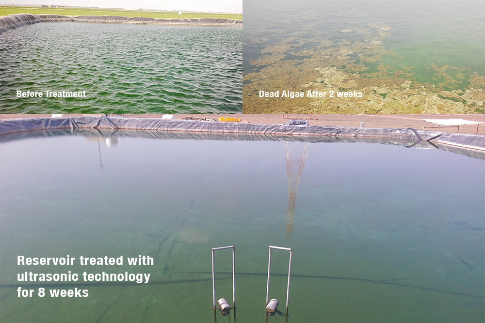 Algae Control in Water Reservoir Testimonials Efficient Sonics Ltd.