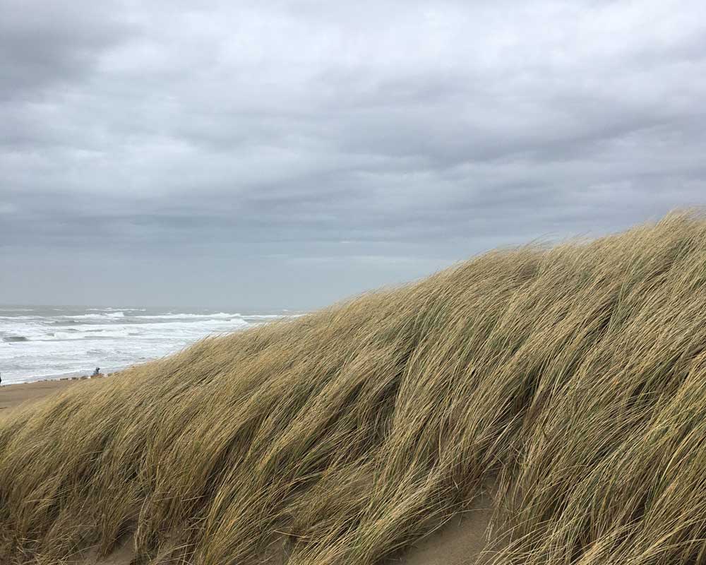 duin-en-strand-Egmond-aan-zee-vakantiehuisje-Egwel