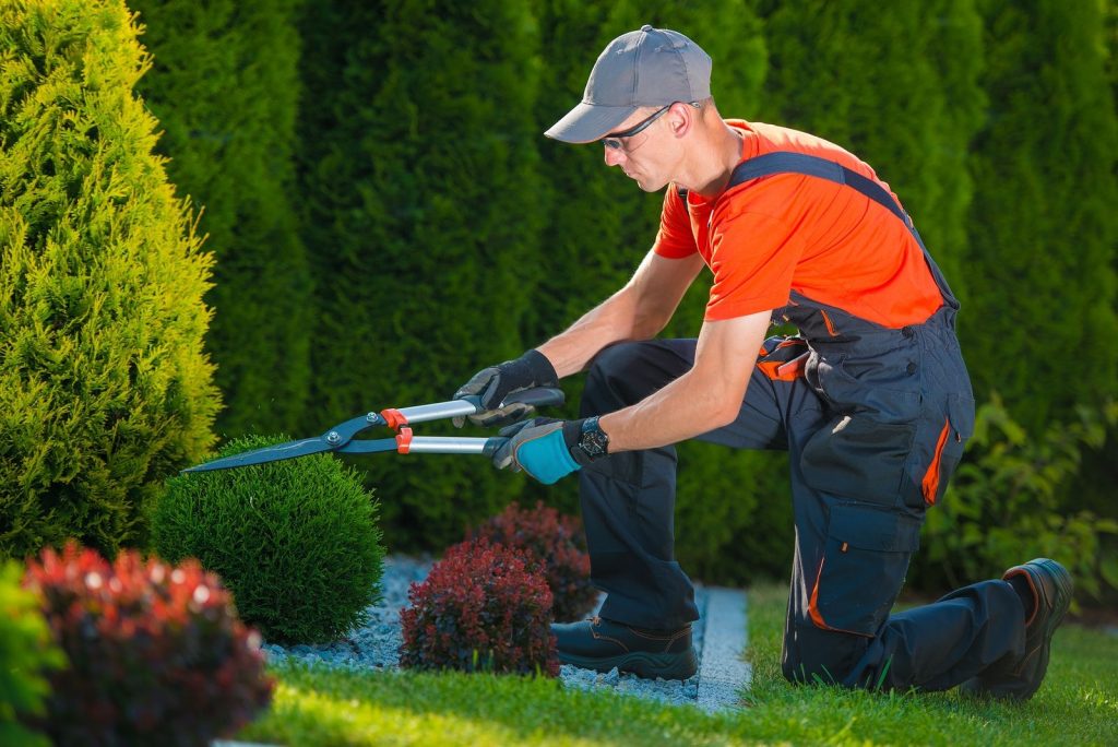 Gartenpflege
