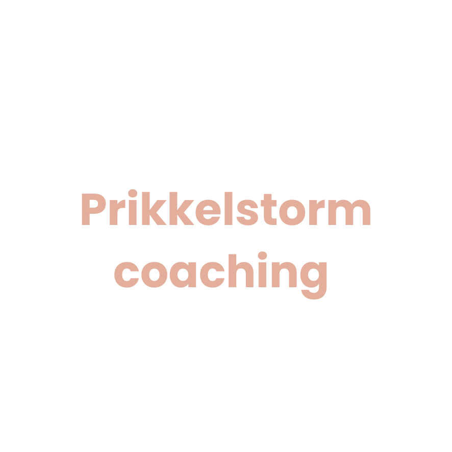 Prikkelstorm coaching