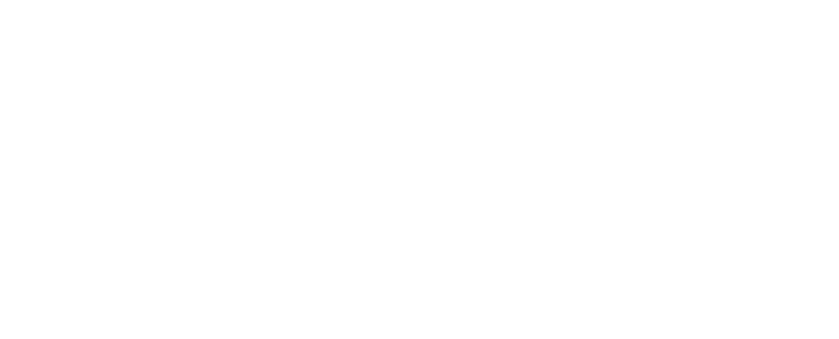 Eikolytics