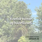 En gang kronisk humor fra hverdagen