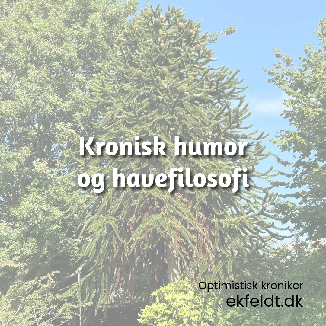 En gang kronisk humor fra hverdagen