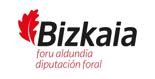 Diputacion Bizkaia subvenciones