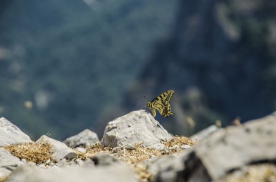 Cima del Jultayu