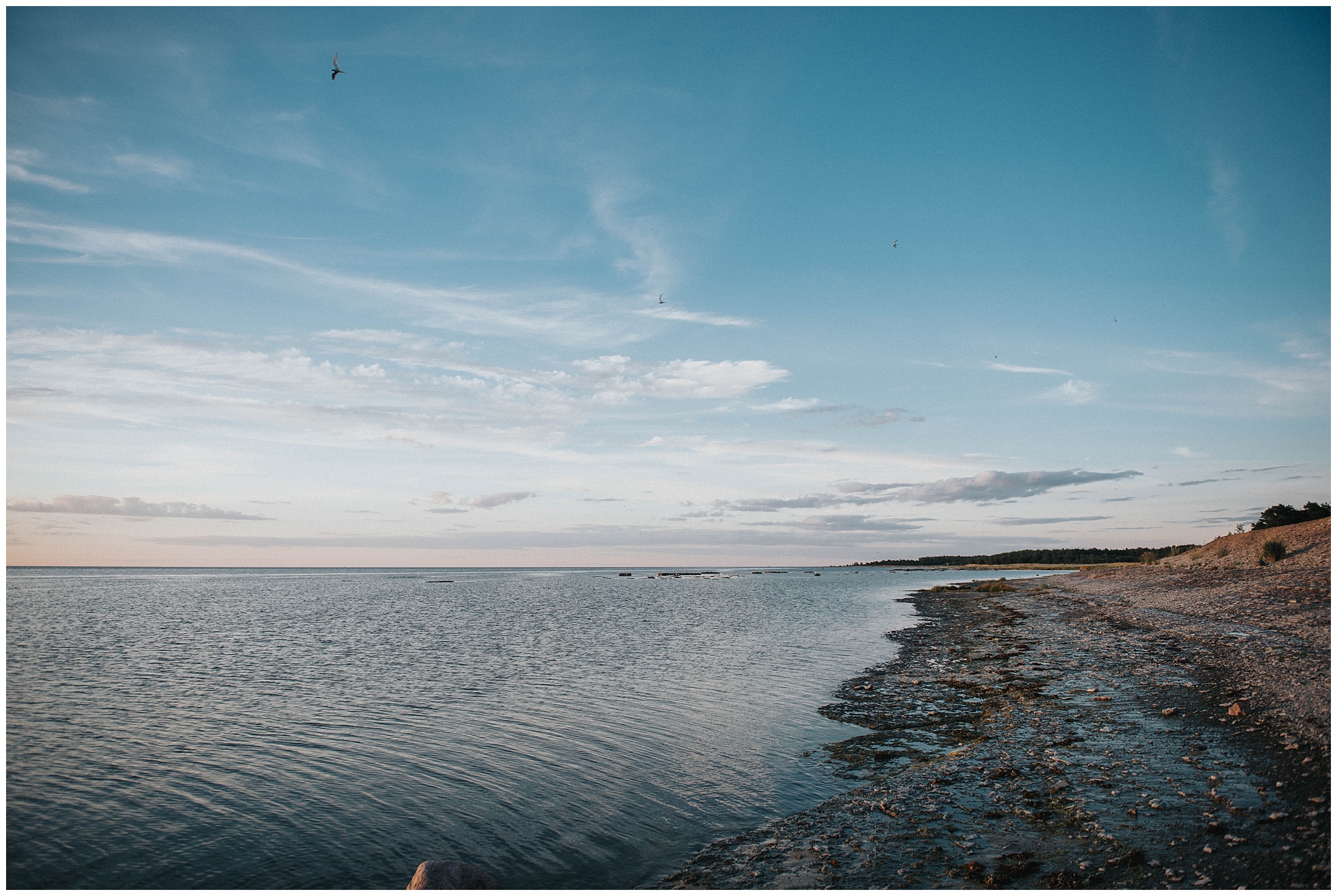 Fotografering med Emma och Robert på vackra Öland