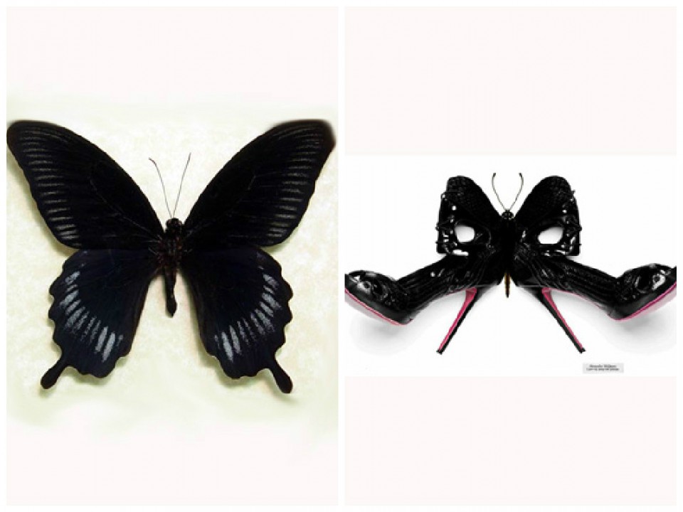 AAA_butterfly_mcq shoes