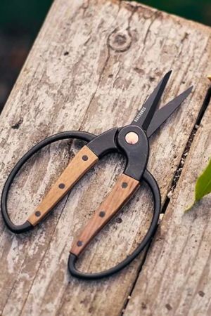 Small Scissor - Walnut