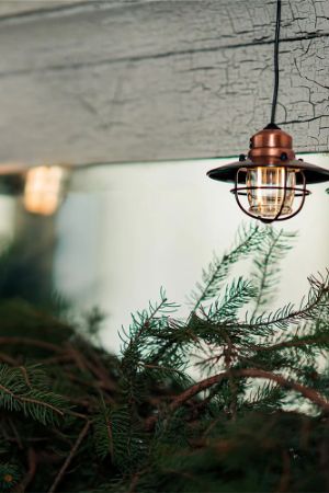 Edison Pendant Light (Copper)