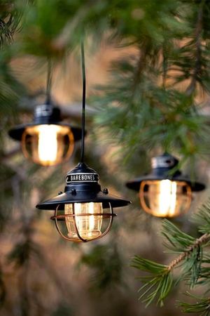 Edison String Lights (Red)