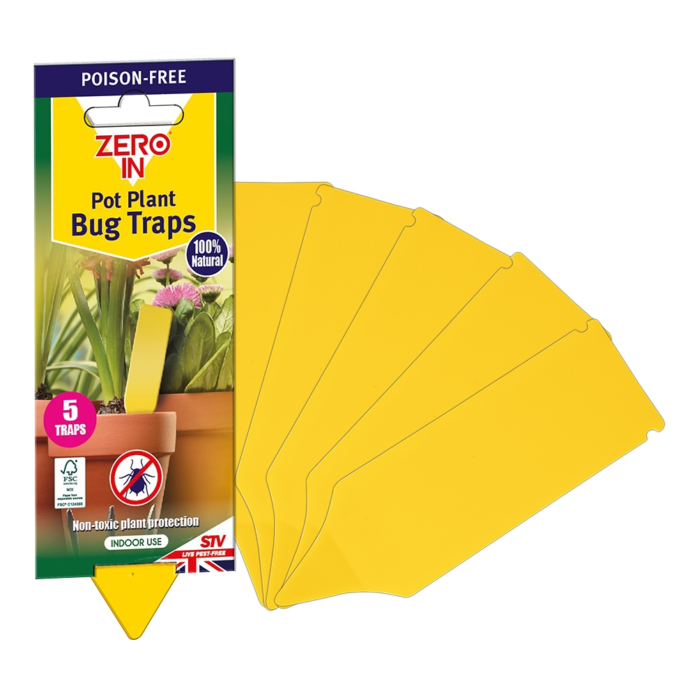 Pot Plant Bug Trap - 5-Pack