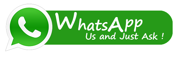 WhatsApps logo