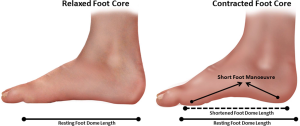 foot-core