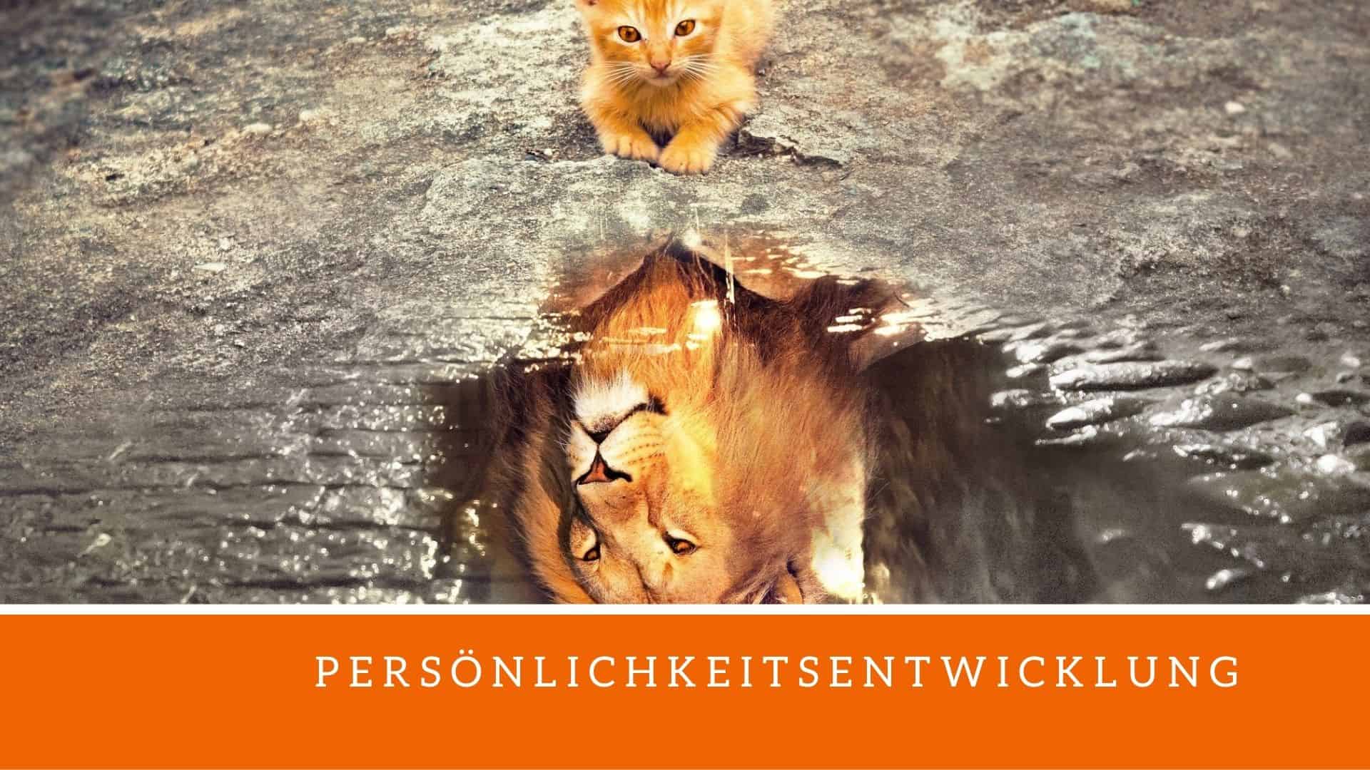 Kommunikation Persönlichkeitsentwicklung Tierarzt