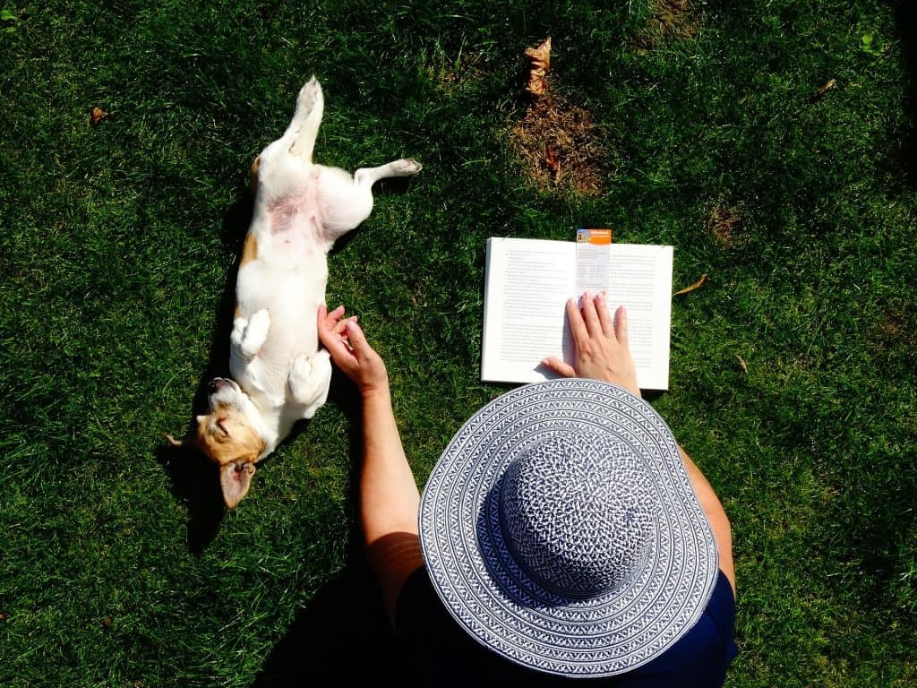 VetAcademy für Tierärzte