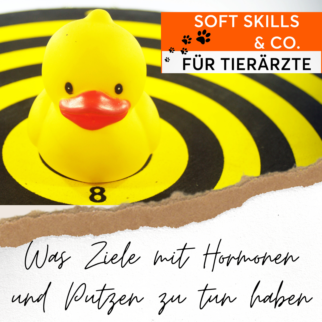 Soft Skills & Co für Tierärzte