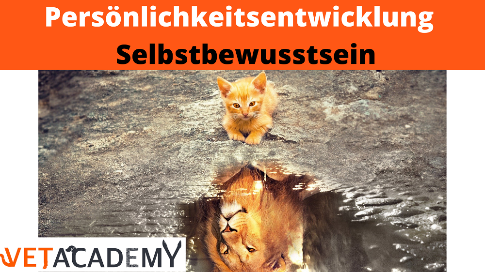 Arbeitsbuch Deine Werte