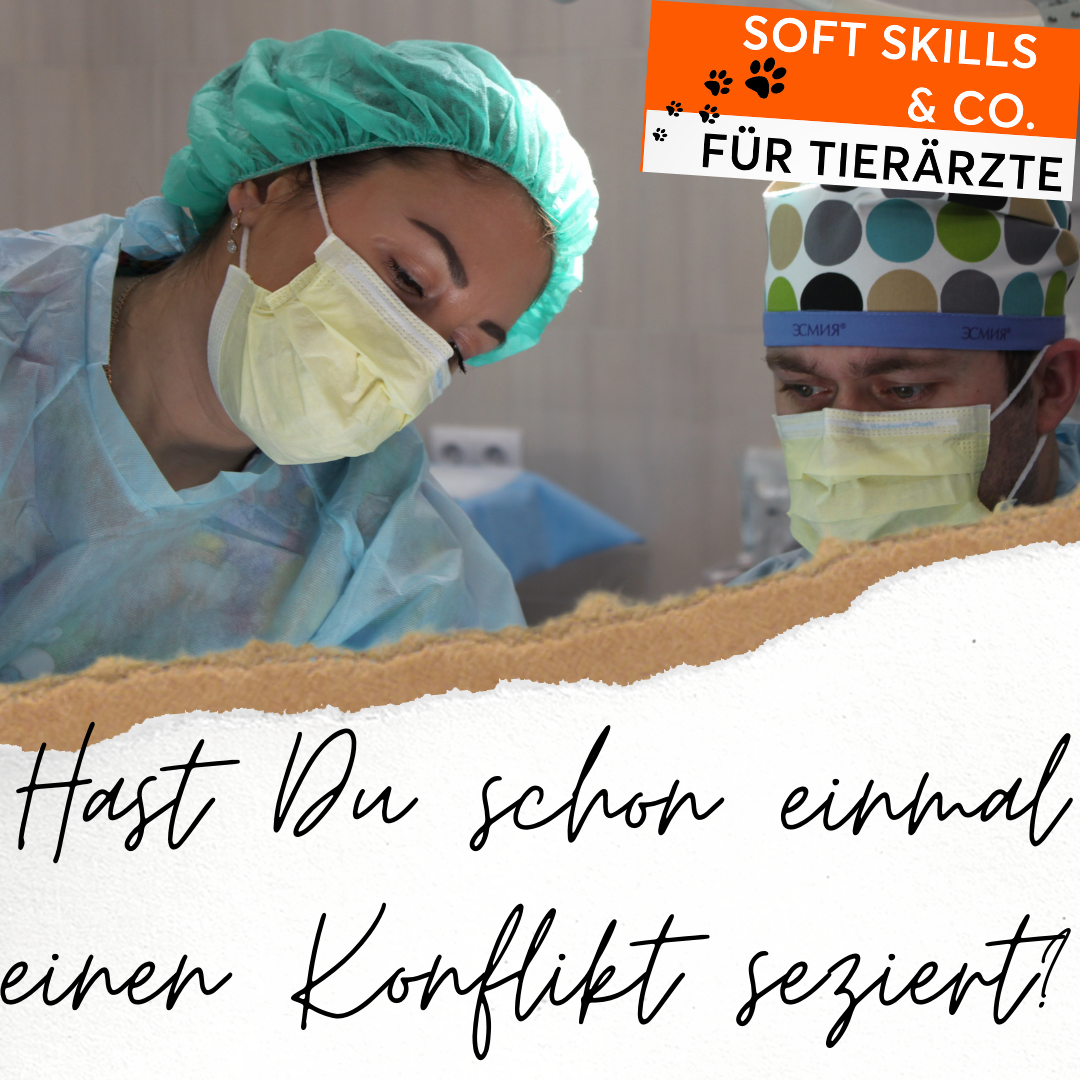 Coaching für Tierärzte Konfliktmanagement