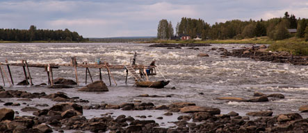 Vissen op witvis op de Tornio rivier. Rechts Finland, links Zweden.