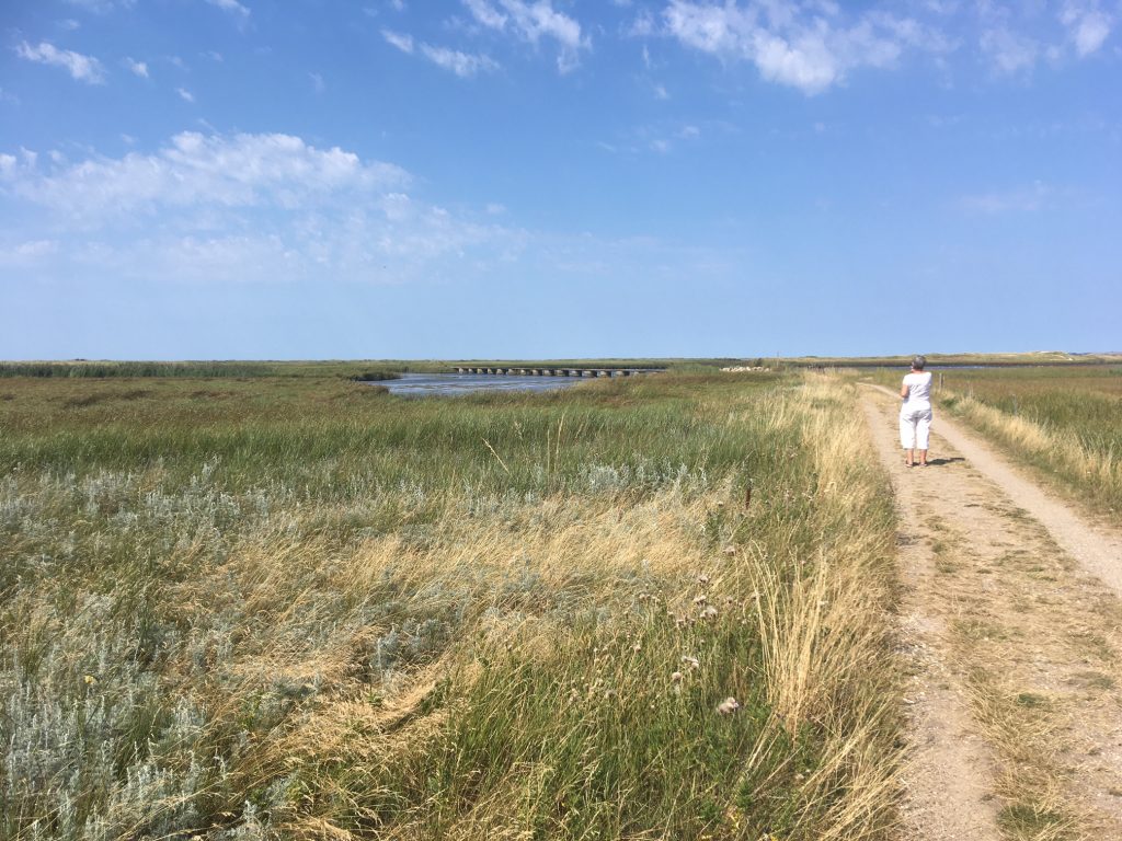 Ellinge Strand Grundejerforening