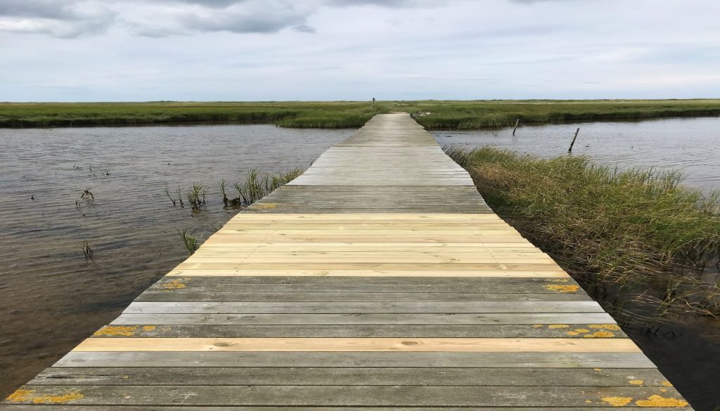 Ellinge Strand Grundejerforening