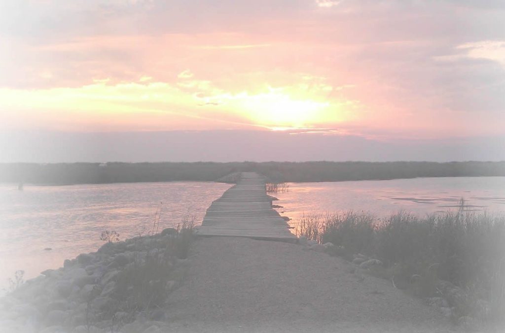 Ellinge Strand Grundejerforening