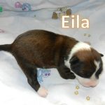 Eila_01, Tag 6