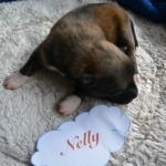 Nelly, 8 Tage alt
