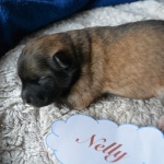 Nelly, 8 Tage alt