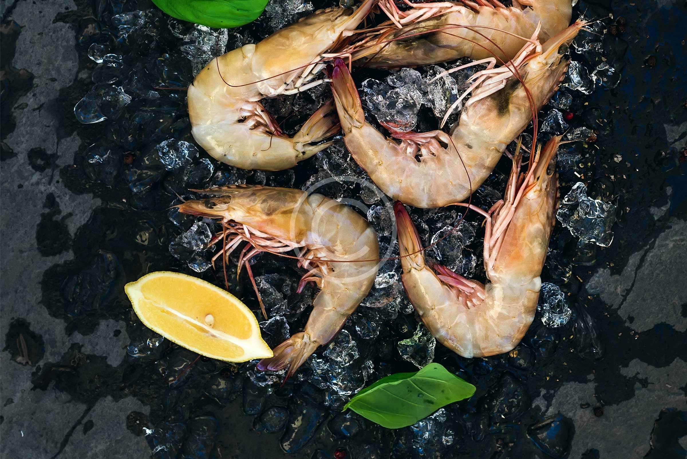 Read more about the article 5 Steps to the Best Grilled Shrimp