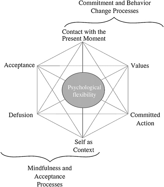 IFS Internal Family System