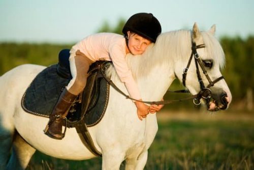 Kinderfeestje paarden