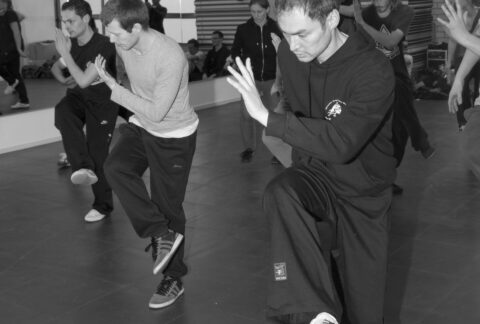 Workshop Kung Fu