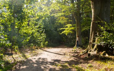 10 levenslessen voor meer innerlijke rust