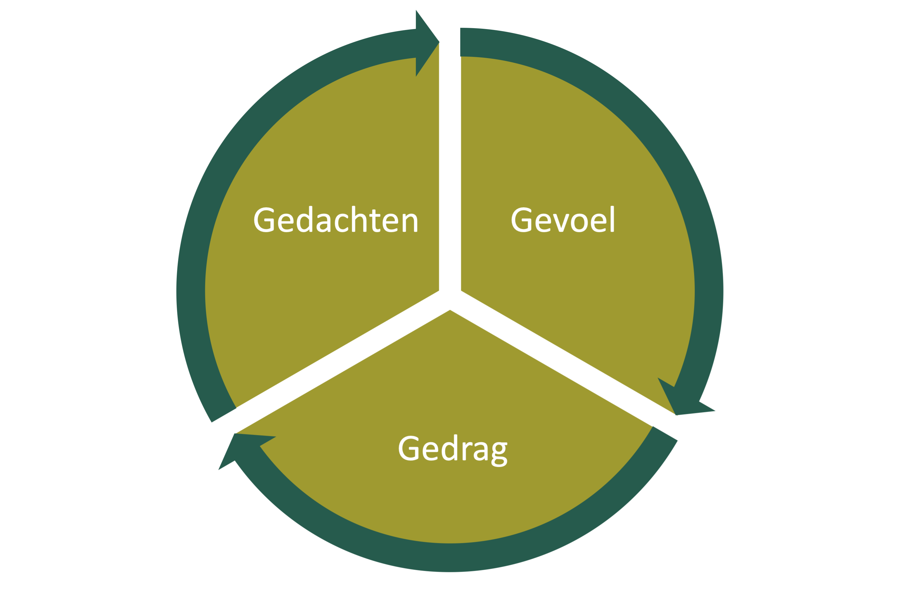 GEDACHTEN - GEDRAG - GEVOEL