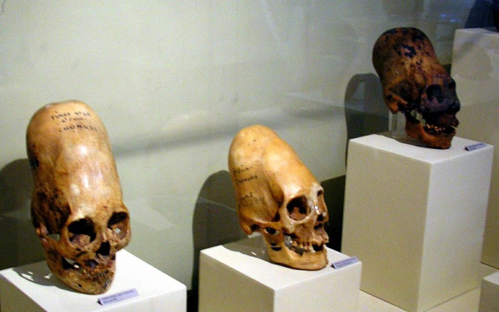 Teschi allungati di Paracas © Wikimedia Commons