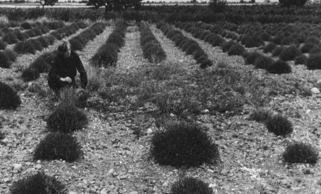 Il caso Valensole