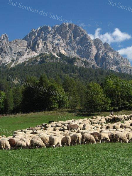 Le Dolomiti venete - Monte Cristallo. Foto gentilmente concessa da Monica Dandrea Sui Sentieri dei Salvàns®.