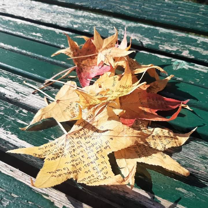 The Italian journalist Marianna Vazzana writes quotes, poems or simple words on leaves she finds in Milan.