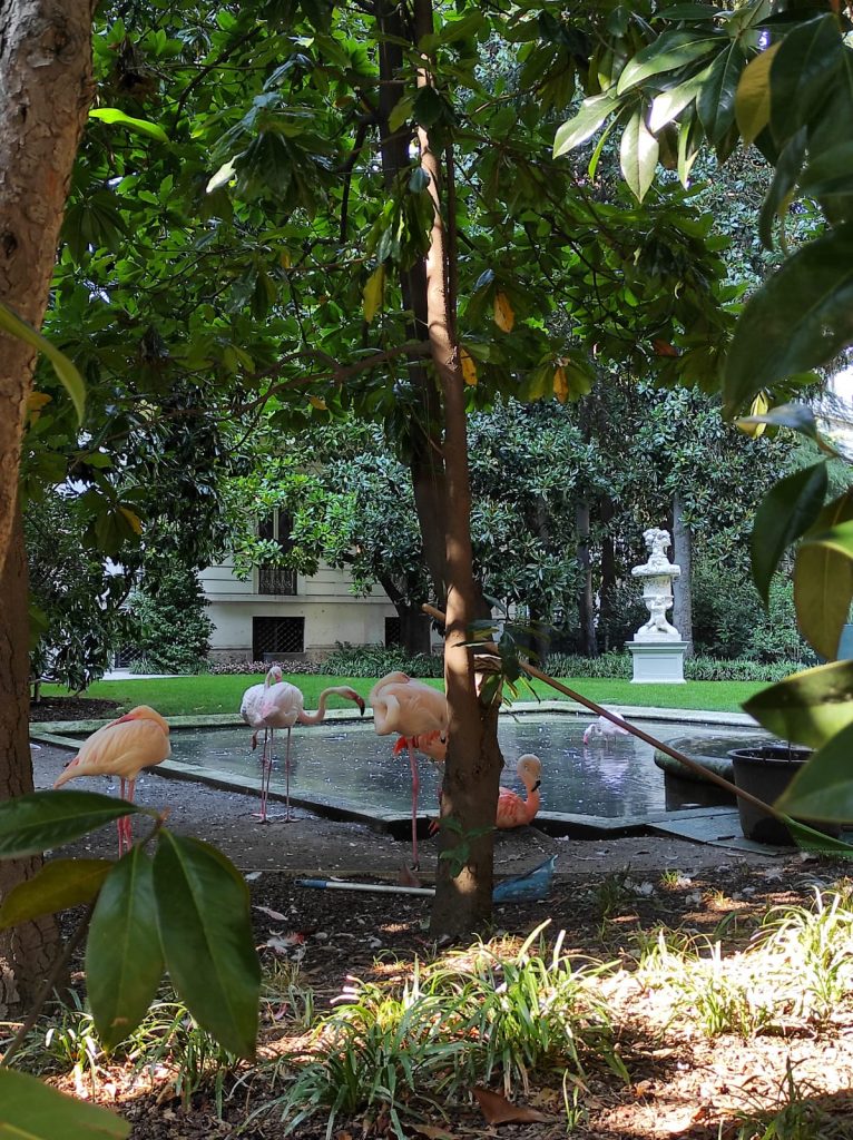 Villa Invernizzi in via dei Cappuccini a Milano, oggi abitata da 12 fenicotteri rosa he vivono lì dal 1970.