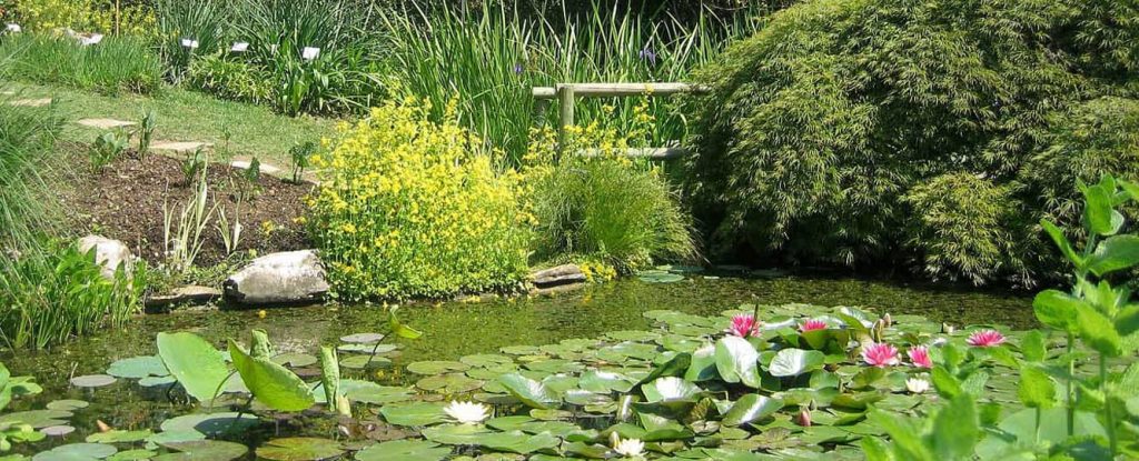 Lombardia: l'Orto Botanico di Bergamo "Lorenzo Rota" si trova a Colle Aperto di Città Alta ed è un piccolo laboratorio naturalistico custodito con dedizione e amore per la natura.