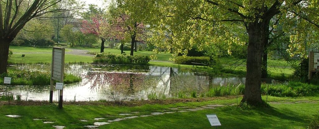 Lombardia: Orto Botanico di Città Studi a Milano